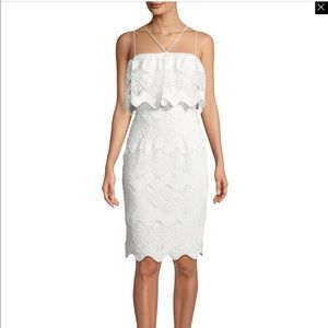 Gwendolyn Scalloped Lace Cocktail Sheath Dress